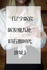 辽宁新宾新发现九处旧石器时代遗址