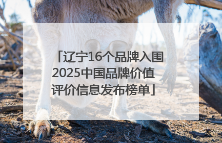 辽宁16个品牌入围2025中国品牌价值评价信息发布榜单