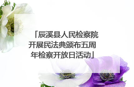 辰溪县人民检察院开展民法典颁布五周年检察开放日活动