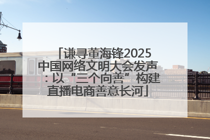 谦寻董海锋2025中国网络文明大会发声：以“三个向善”构建直播电商善意长河