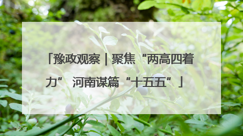 豫政观察｜聚焦“两高四着力” 河南谋篇“十五五”