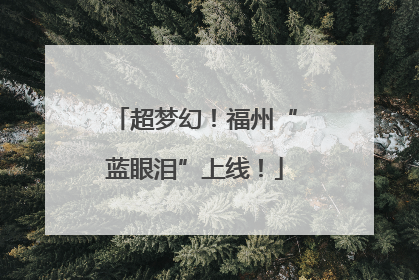 超梦幻！福州“蓝眼泪”上线！