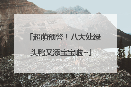 超萌预警！八大处绿头鸭又添宝宝啦~