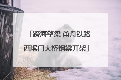 跨海擎梁 甬舟铁路西堠门大桥钢梁开架