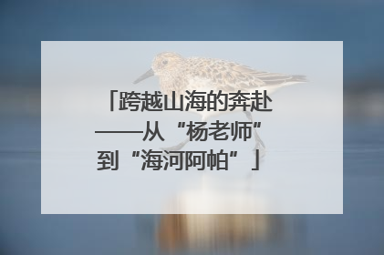 跨越山海的奔赴——从“杨老师”到“海河阿帕”