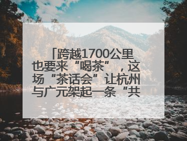 跨越1700公里也要来“喝茶”，这场“茶话会”让杭州与广元架起一条“共富之路”