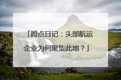 蹲点日记：头部航运企业为何聚集此地？