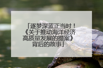逐梦深蓝正当时！《关于推动海洋经济高质量发展的提案》背后的故事