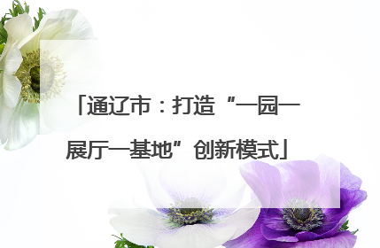 通辽市：打造“一园一展厅一基地”创新模式