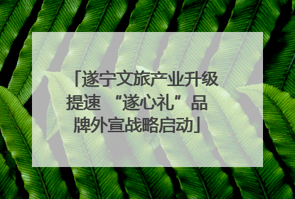 遂宁文旅产业升级提速 “遂心礼”品牌外宣战略启动