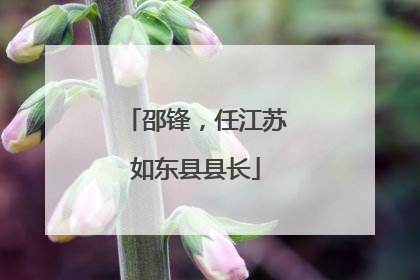 邵锋，任江苏如东县县长