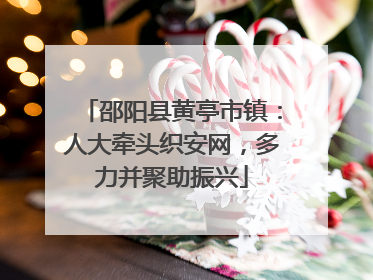 邵阳县黄亭市镇：人大牵头织安网，多力并聚助振兴