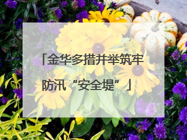 金华多措并举筑牢防汛“安全堤”