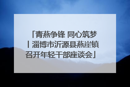 青燕争锋 同心筑梦丨淄博市沂源县燕崖镇召开年轻干部座谈会