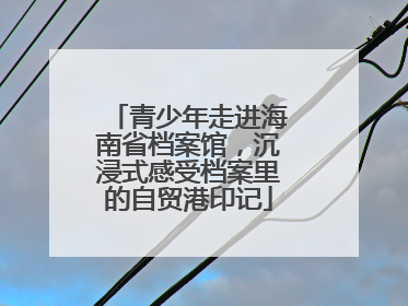 青少年走进海南省档案馆，沉浸式感受档案里的自贸港印记