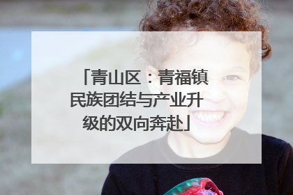 青山区：青福镇民族团结与产业升级的双向奔赴