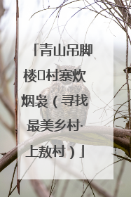 青山吊脚楼 村寨炊烟袅（寻找最美乡村·上敖村）