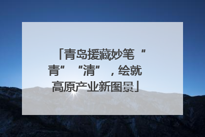 青岛援藏妙笔“青”“清”，绘就高原产业新图景