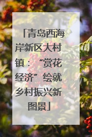 青岛西海岸新区大村镇：“赏花经济”绘就乡村振兴新图景