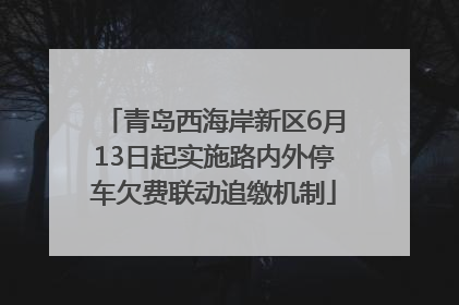 青岛西海岸新区6月13日起实施路内外停车欠费联动追缴机制