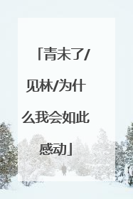 青未了/见林/为什么我会如此感动