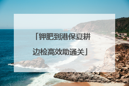 钾肥到港保夏耕 边检高效助通关