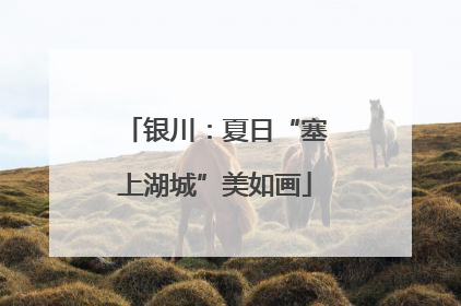 银川：夏日“塞上湖城”美如画