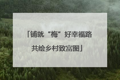 铺就“梅”好幸福路 共绘乡村致富图