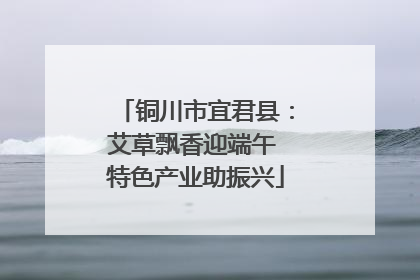 铜川市宜君县：艾草飘香迎端午 特色产业助振兴