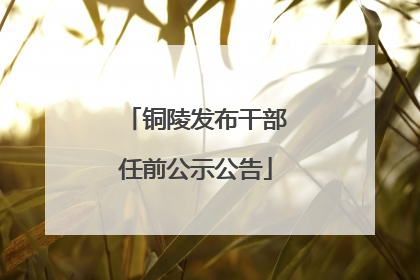 铜陵发布干部任前公示公告