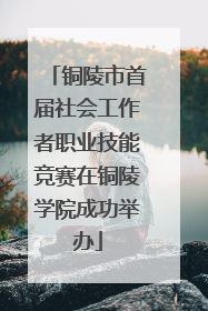 铜陵市首届社会工作者职业技能竞赛在铜陵学院成功举办