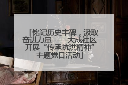 铭记历史丰碑，汲取奋进力量——大成社区开展“传承抗洪精神”主题党日活动