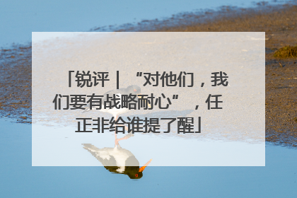 锐评｜“对他们，我们要有战略耐心”，任正非给谁提了醒