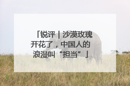 锐评｜沙漠玫瑰开花了，中国人的浪漫叫“担当”