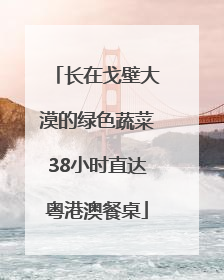 长在戈壁大漠的绿色蔬菜38小时直达粤港澳餐桌