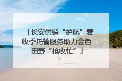长安供销“护航”麦收季托管服务助力金色田野“抢收忙”