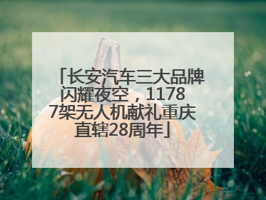 长安汽车三大品牌闪耀夜空，11787架无人机献礼重庆直辖28周年
