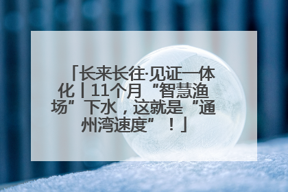 长来长往·见证一体化丨11个月“智慧渔场”下水，这就是“通州湾速度”！
