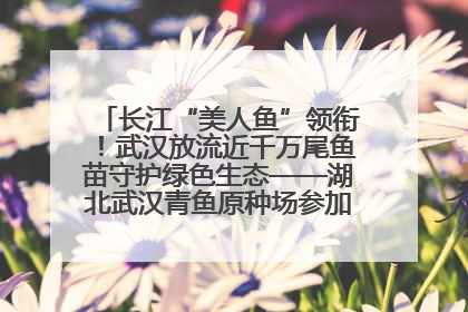 长江“美人鱼”领衔！武汉放流近千万尾鱼苗守护绿色生态——湖北武汉青鱼原种场参加2025年“全国放鱼日”增殖放流活动