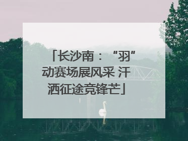 长沙南：“羽”动赛场展风采 汗洒征途竞锋芒