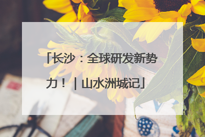 长沙：全球研发新势力！｜山水洲城记