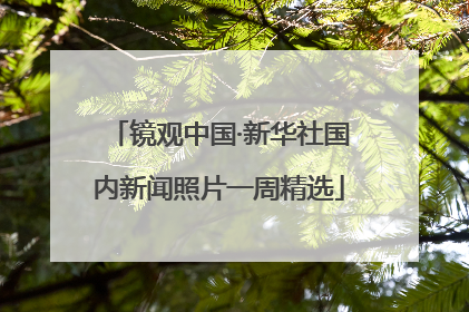 镜观中国·新华社国内新闻照片一周精选