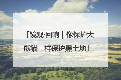 镜观·回响｜像保护大熊猫一样保护黑土地