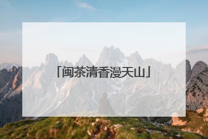 闽茶清香漫天山