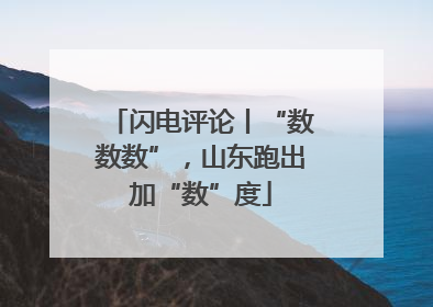 闪电评论丨“数数数”，山东跑出加“数”度