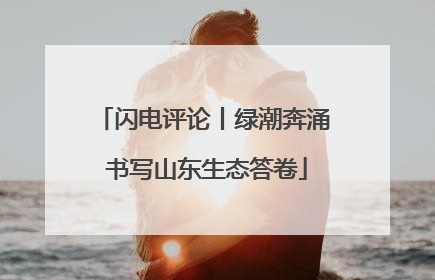 闪电评论丨绿潮奔涌 书写山东生态答卷