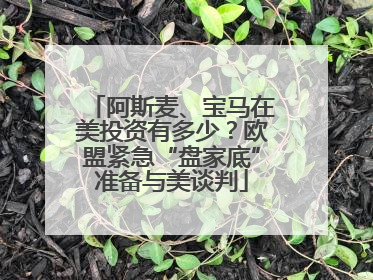 阿斯麦、宝马在美投资有多少？欧盟紧急“盘家底”准备与美谈判