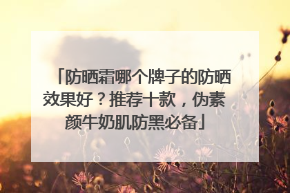防晒霜哪个牌子的防晒效果好？推荐十款，伪素颜牛奶肌防黑必备