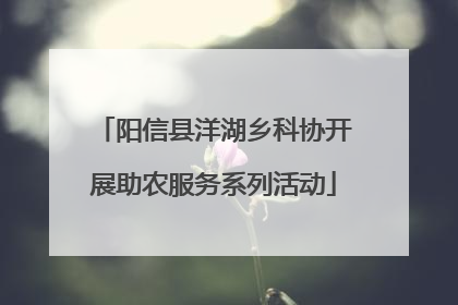 阳信县洋湖乡科协开展助农服务系列活动