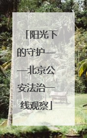 阳光下的守护——北京公安法治一线观察